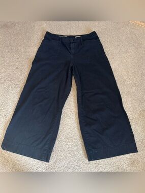Anthropologie Pilcro Letterpress Wide Leg High Rise Pants Navy Blue | Sz 29